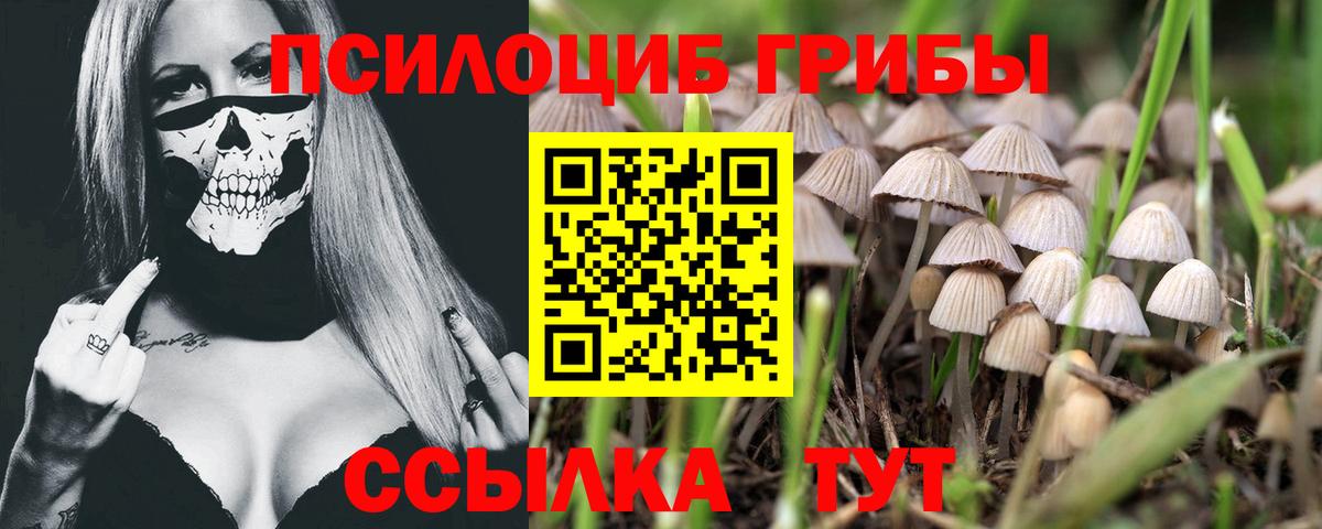 Псилоцибиновые грибы Magic Shrooms  Вход с VPN  Туймазы 